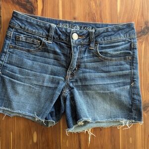 American Eagle Outfitters Blue Jean Shorts
